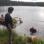 Journée de récolte des nénuphars - photo: Centre Nature